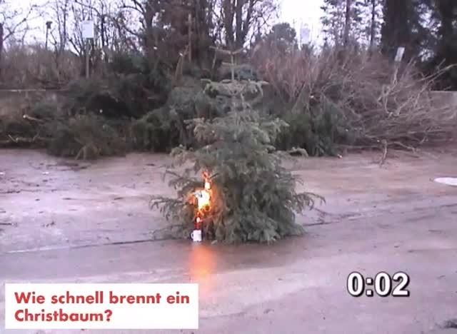 🎄 Achtung Christbaum! 🔥
Was viele unterschätzen: Ein trockener Christbaum kann innerhalb von Sekunden in Vollbrand stehen.
Schon eine kleine Kerze oder ein Funke reicht aus.

Daher:
Christbaum regelmäßig wässern
Keine echten Kerzen unbeaufsichtigt lassen
Abstand zu Vorhängen & Möbeln halten
Rauchmelder retten Leben

Bleibt sicher – eure Feuerwehr Hebertsfelden 🚒

#hebertsfelden #feuerwehrhebertsfelden #freiwilligefeuerwehr #feuerwehr #ehrenamt #helfenkannjeder #rottalinn #112 #seit1879